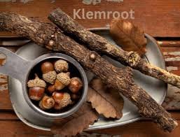 klemroot